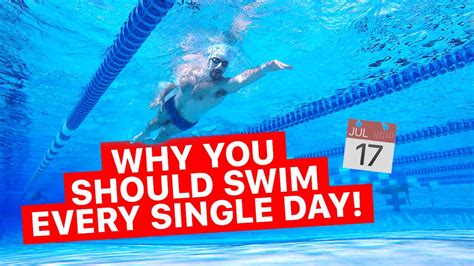 swimming 3 times a week|When You Go Swimming Every Day, This Is What .